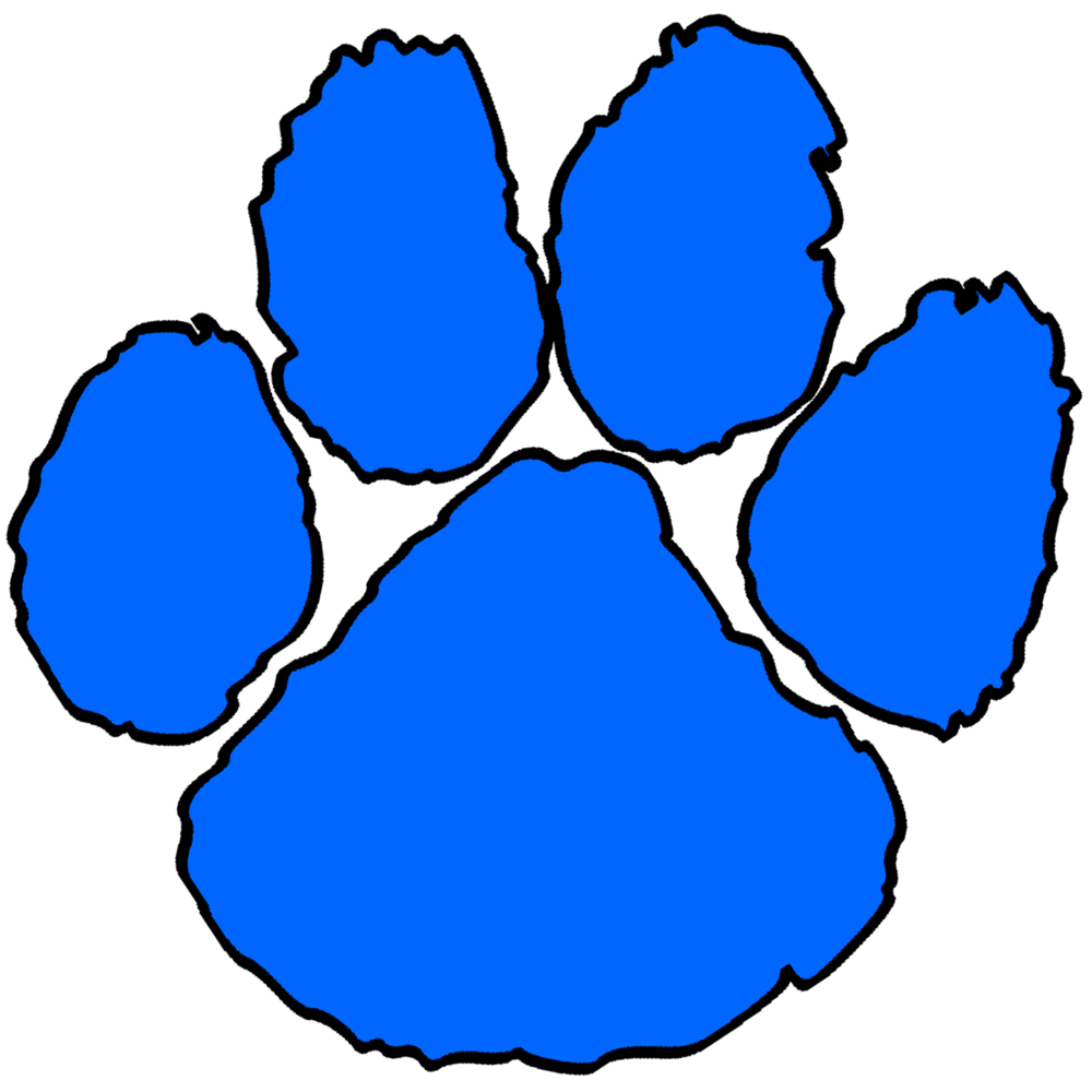 Princeton Primary Elementary Icon