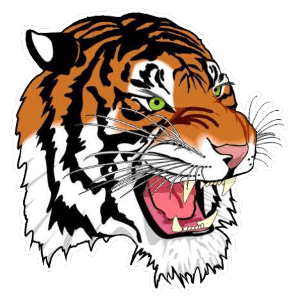 Princeton Senior High School Icon